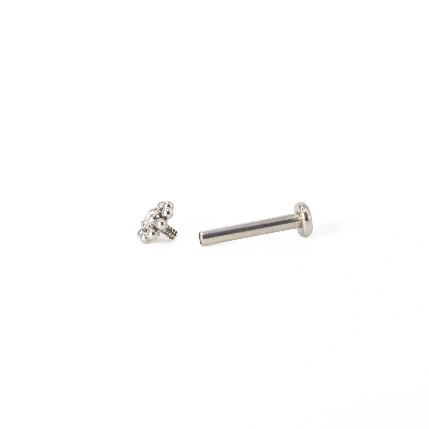 Dalia Surgical Steel Piercing
